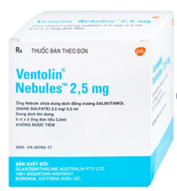 Ventolin Nebules 2,5mg GSK ( H 6*5 ống )