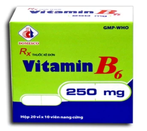 Vitamin B6 250mg Domesco (H 20 vỉ x 10 viên)