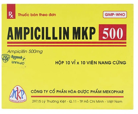 Ampicilin 500 MKP
