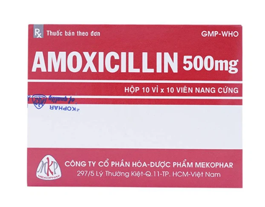 Amoxicillin 500mg MKP