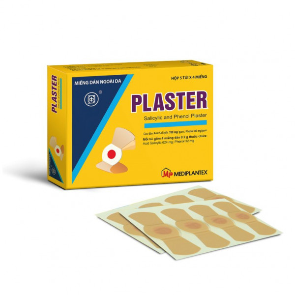 Plasters ( H 20 lá)