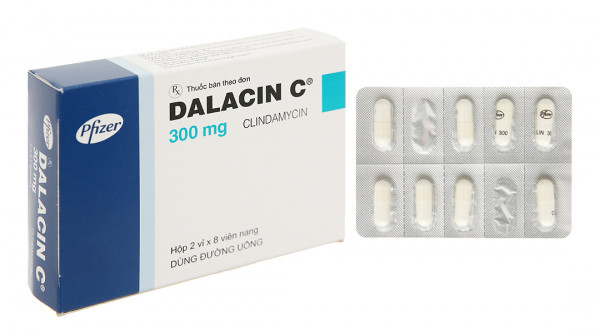 Dalacin C 300 ( H 2*8 viên )