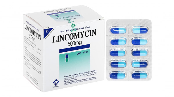 Lincomycin 500mg Vidipha (H10*10 viên)