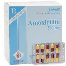 Amoxicillin 500mg Domesco (Hộp 10*10 viên)