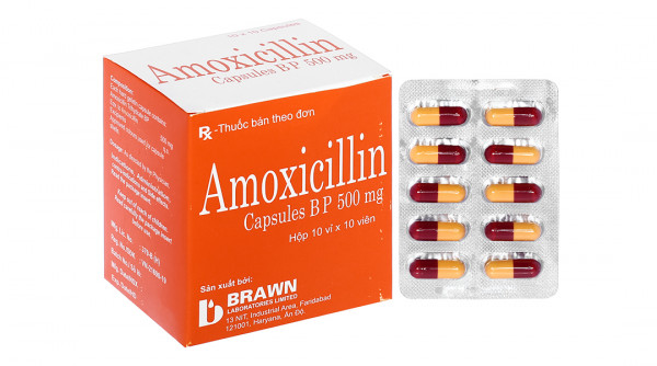 Amoxicillin Brawn 500mg trị nhiễm khuẩn (10 vỉ x 10 viên)
