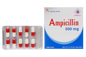 Ampicillin Domesco 500mg trị nhiễm khuẩn (10 vỉ x 10 viên)