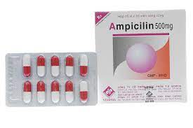 Ampicilin 500mg Vidipha (Hộp 10*10 viên)