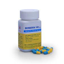 Thuốc Berberin 100mg Domesco điều trị nhiễm khuẩn đường ruột, tiêu chảy (100 viên)