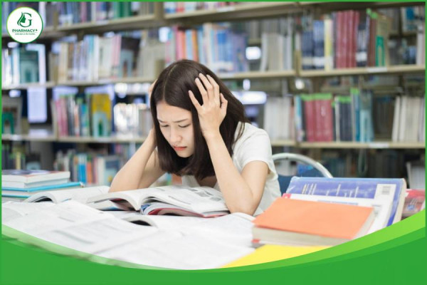 GỢI Ý THỨC ĂN BỔ NÃO CHO HỌC SINH TRONG MÙA THI CĂNG THẲNG