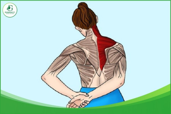 Bài tập cho người thoái hoá khớp vai