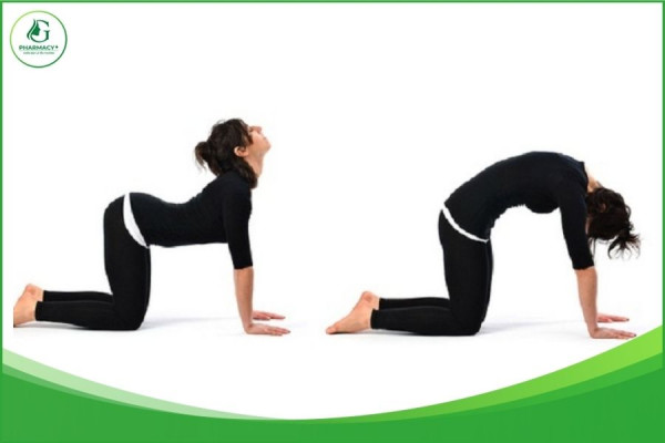 bài tập thoái hoá khớp vai