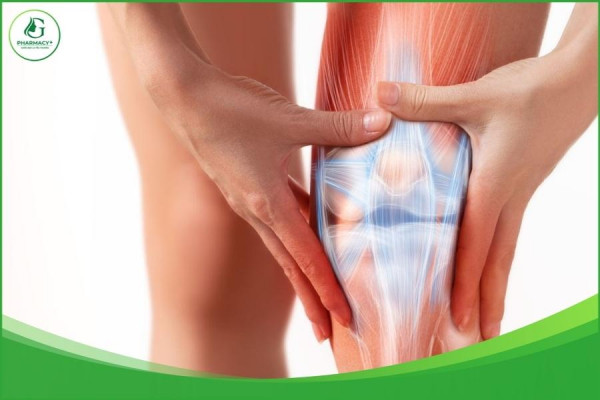 Thoái hóa khớp gối nên làm gì