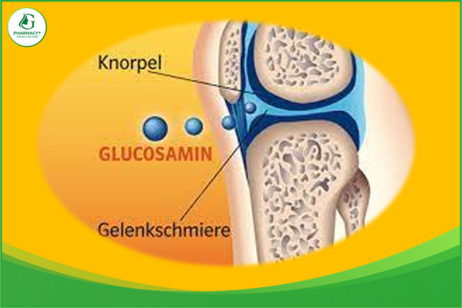 glucosamin 2