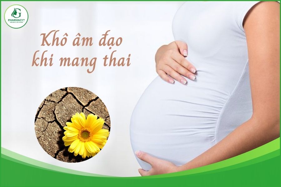 Vùng Kín Khô Có Phải Dấu Hiệu Mang Thai? Hiểu Rõ Để An Tâm Hơn